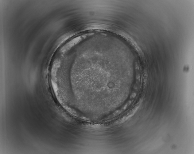 X0000102351121200808291154