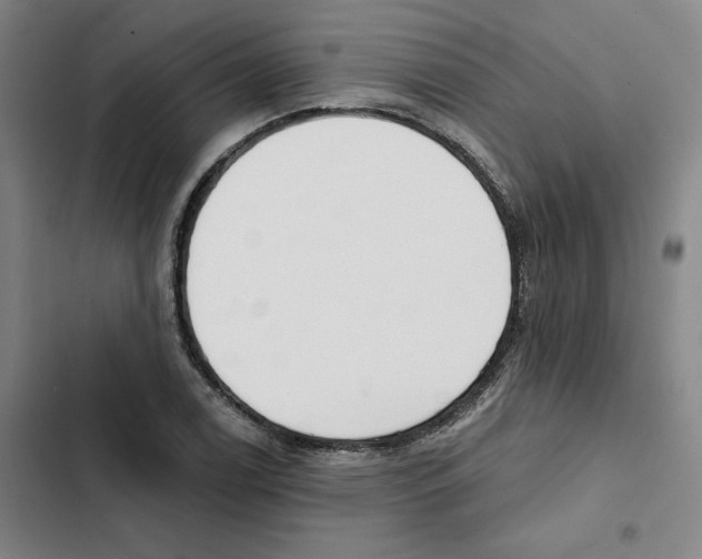 X0000102351122200808291154