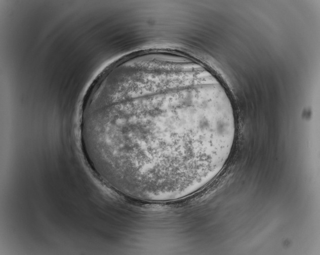 X0000102351124200808291154