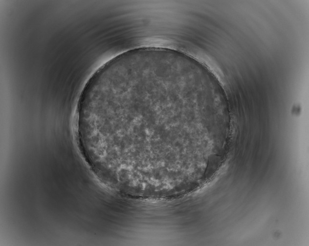 X0000102351125200808291154