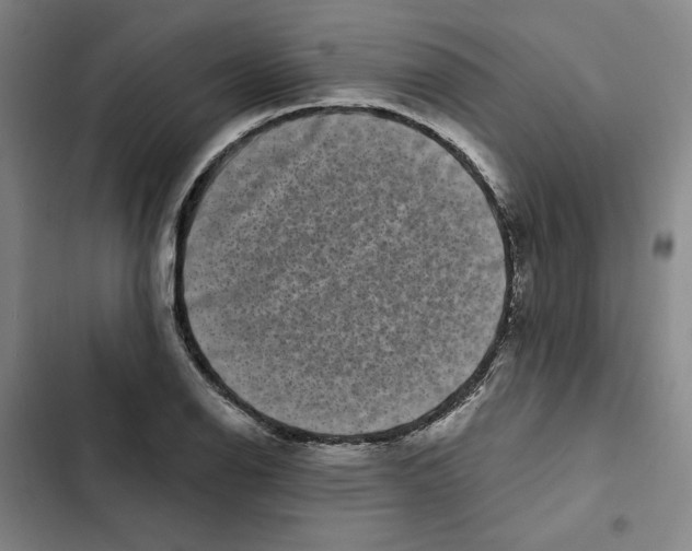 X0000102351126200808291154