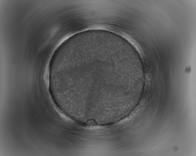 X0000102351127200808291154