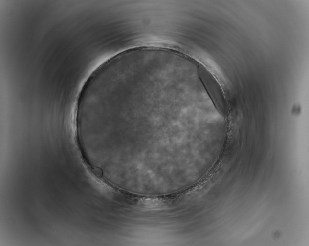X0000102351128200808291154