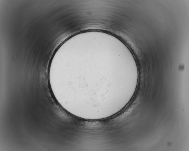 X0000102351129200808291154