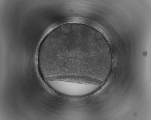 X0000102351130200808291154