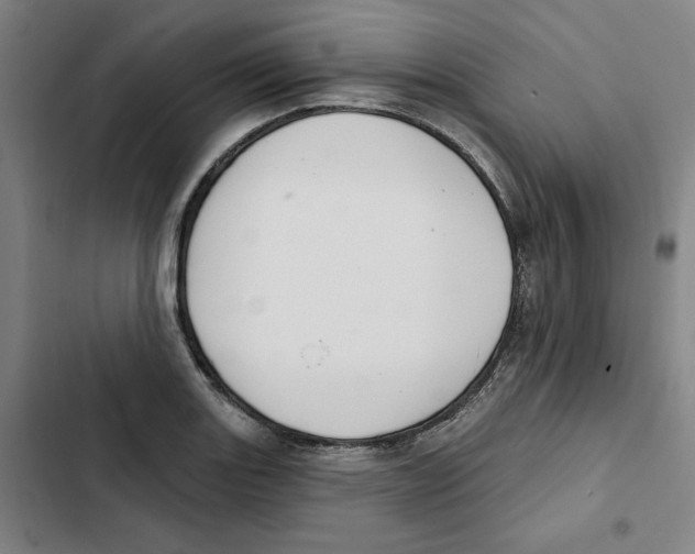 X0000102351131200808291154