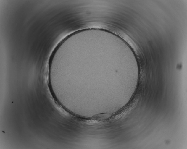 X0000102351132200808291154