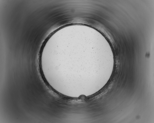 X0000102351133200808291154