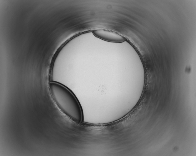 X0000102351134200808291155