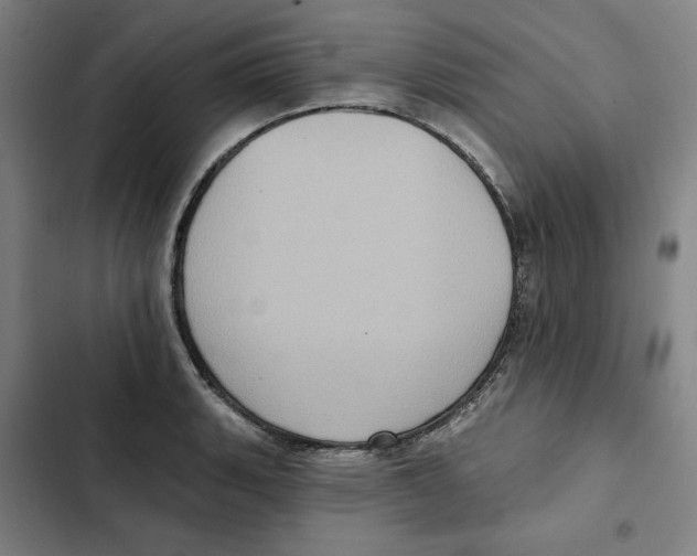 X0000102351135200808291155