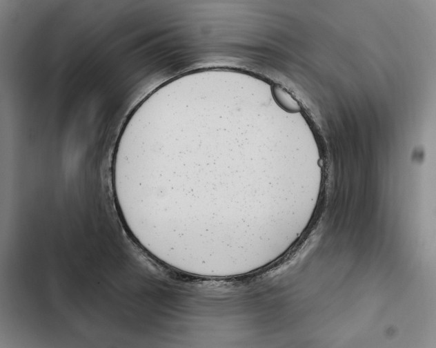 X0000102351137200808291155