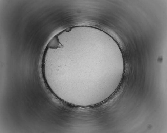 X0000102351138200808291155
