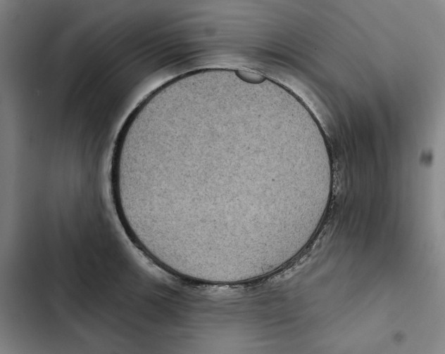 X0000102351139200808291155