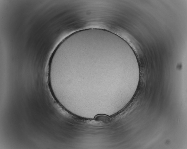X0000102351140200808291155