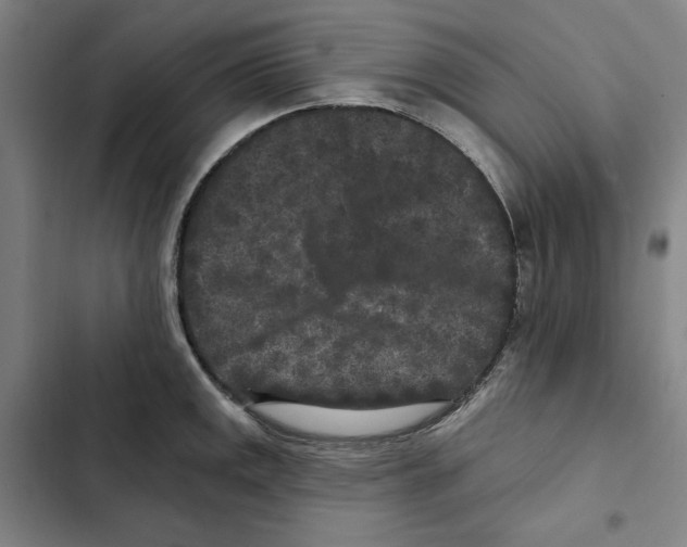 X0000102351141200808291155