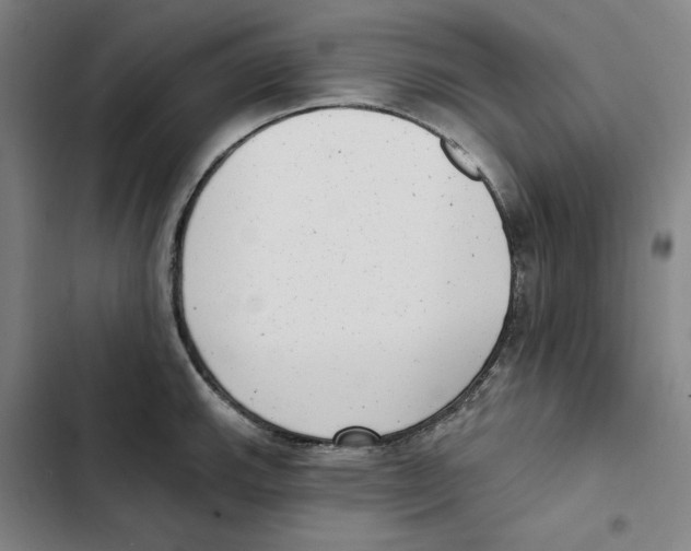 X0000102351143200808291155