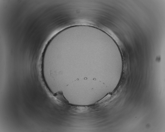 X0000102351144200808291155