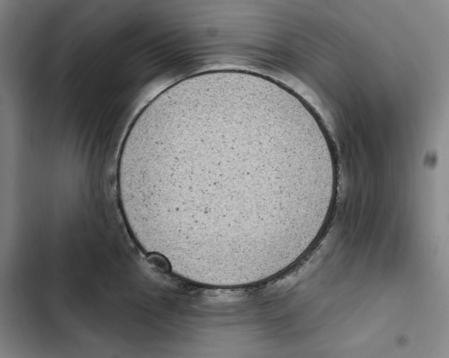 X0000102351145200808291155