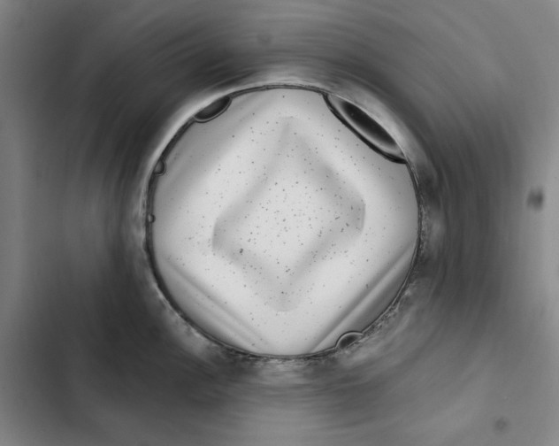 X0000102351148200808291155