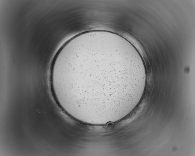 X0000102351149200808291155