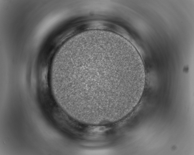 X0000102351150200808291155