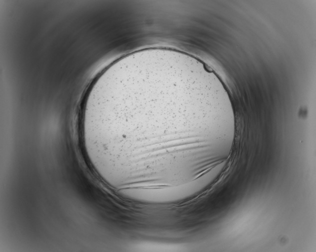 X0000102351151200808291155