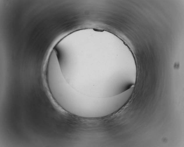 X0000102351152200808291155
