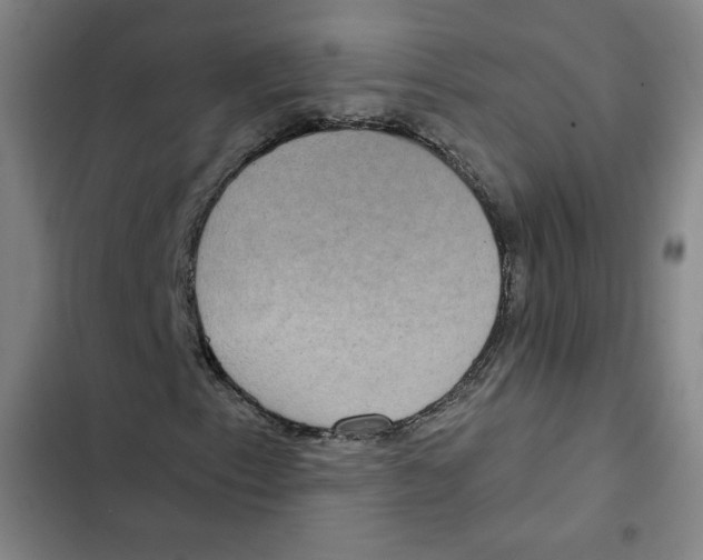 X0000102351153200808291154