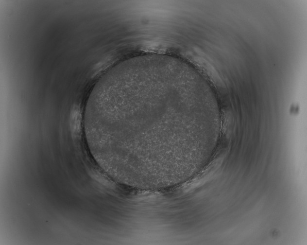 X0000102351154200808291154