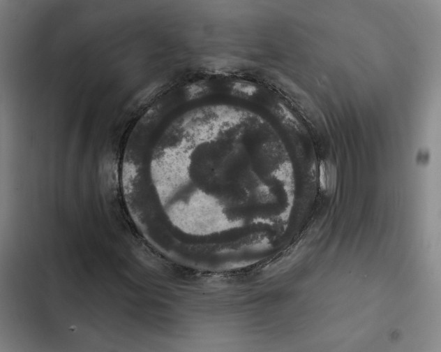 X0000102351155200808291154