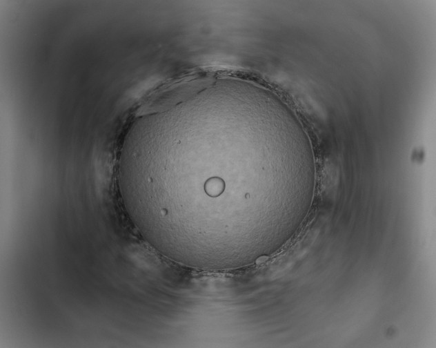 X0000102351157200808291154