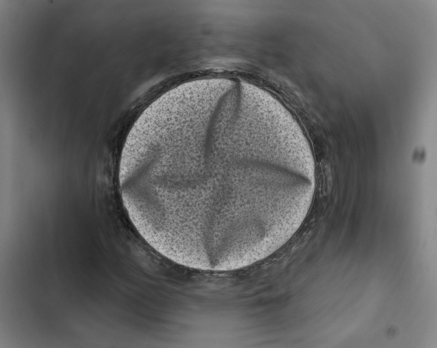 X0000102351158200808291154