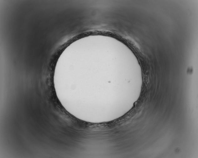 X0000102351159200808291154
