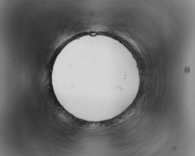 X0000102351160200808291154