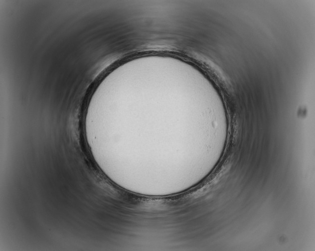 X0000102351162200808291154