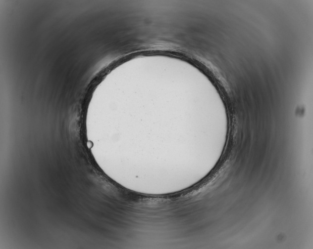 X0000102351163200808291154