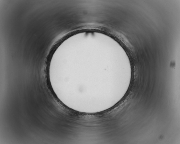 X0000102351164200808291154