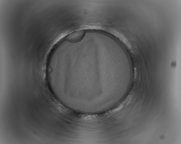 X0000102351165200808291154