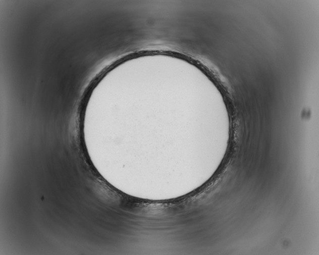 X0000102351167200808291154