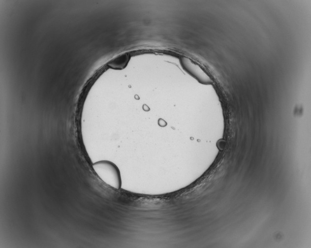 X0000102351168200808291154