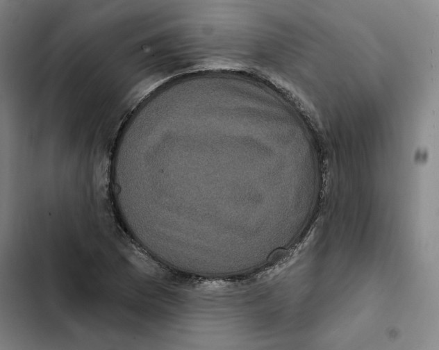 X0000102351169200808291154