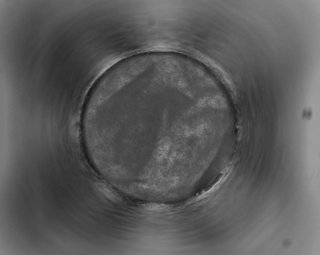 X0000102351170200808291154
