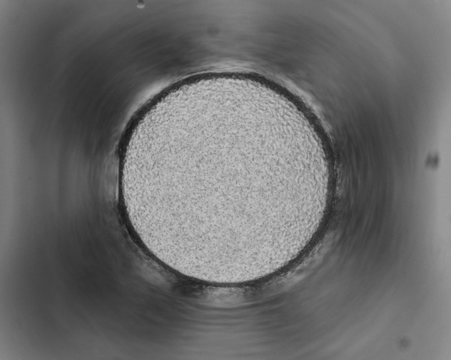 X0000102351171200808291154