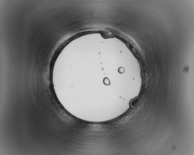X0000102351172200808291154