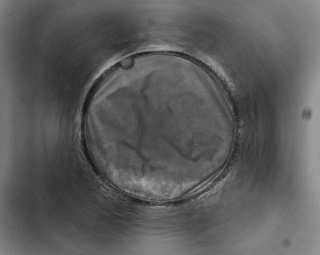 X0000102351173200808291154