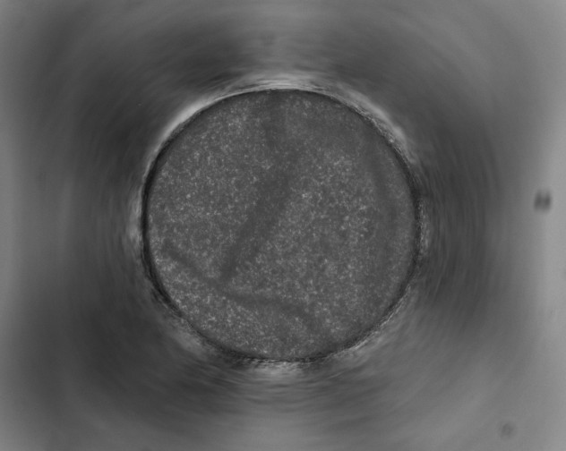X0000102351174200808291154