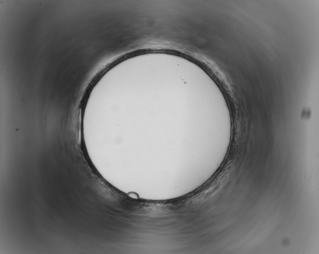 X0000102351175200808291154