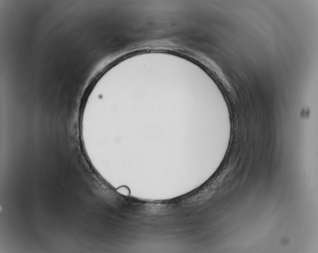 X0000102351176200808291154