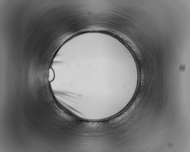 X0000102351177200808291154
