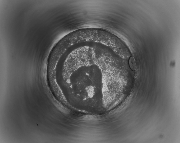 X0000102351179200808291154